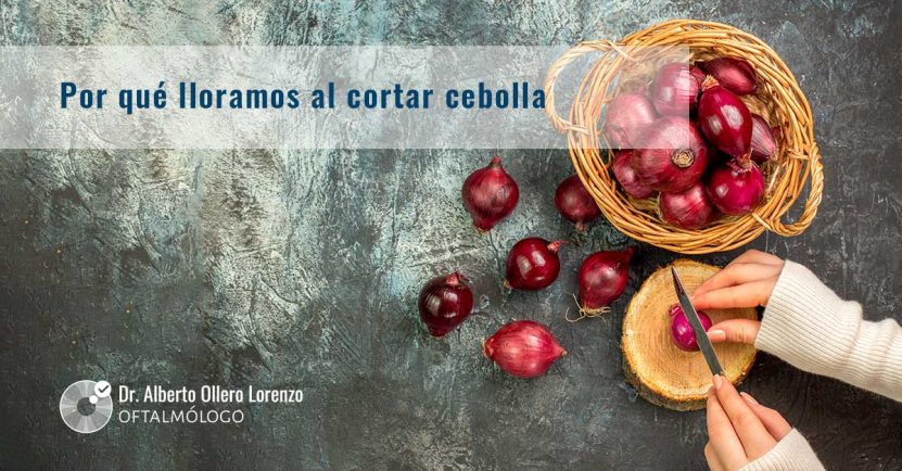 Por qué lloramos al cortar cebolla 1 por que lloramos al cortar cebolla